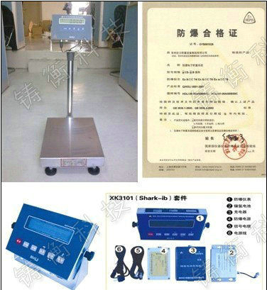 防爆電子臺(tái)稱(chēng)
